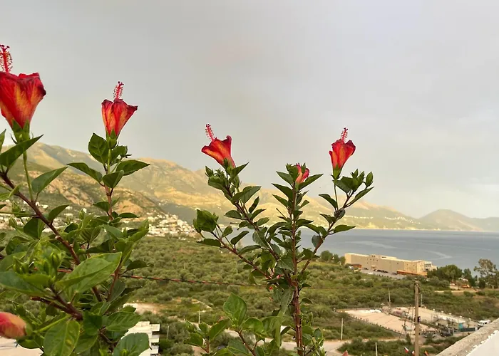 Odore Di Mare