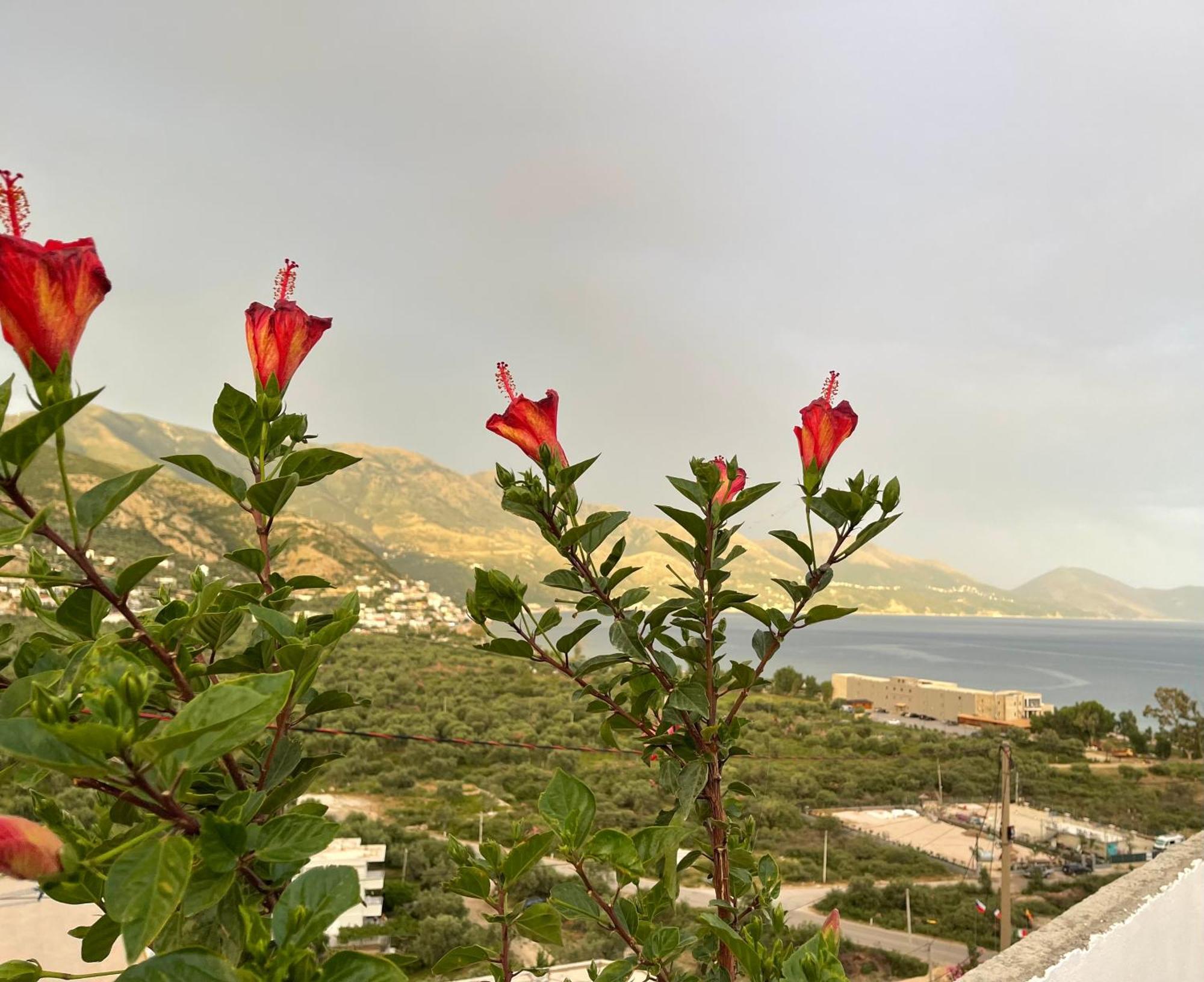 Odore Di Mare Apartment Qeparo